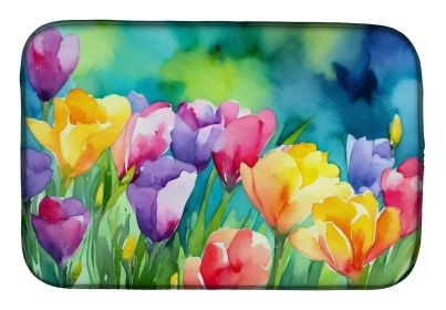 Freesias in Watercolor Dish Drying Mat Absorbent Dish Drying Mat Pad for Kitchen Counter Dish Drainer Mat for Countertop, 14 x 21", Multicolor (Default: Default)